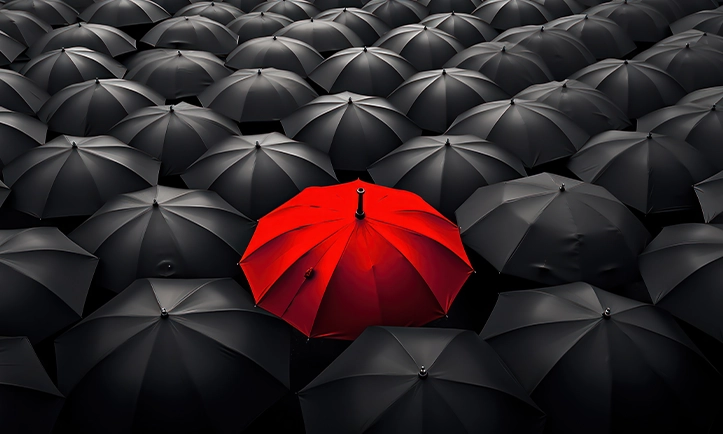 Startup Branding Success
