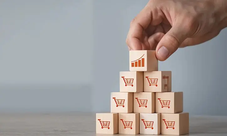 Success in FMCG Digital Marketing Strategy