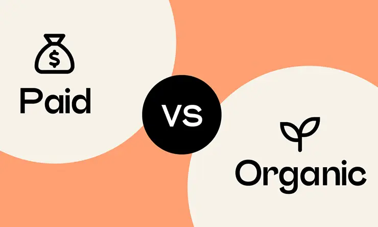 What is the Difference Between Organic and Paid Marketing?